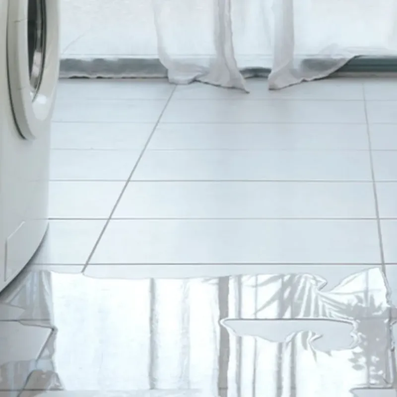 Appliance Leak Cleanup in Cornelius, OR