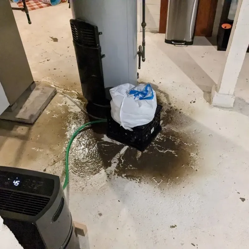 Sewage Backup Cleanup Service in Cornelius, OR